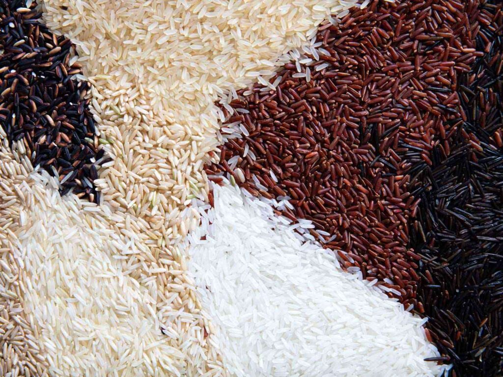 __opt__aboutcom__coeus__resources__content_migration__serious_eats__seriouseats.com__2019__10__20191003-rice-guide-vicky-wasik-4-ce43a2f2ad014714a0d6abb7f70b5c27